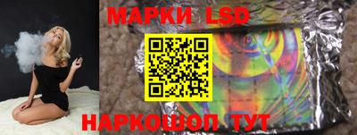 гидропоника Камышлов