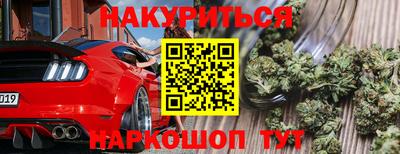 гидропоника Камышлов