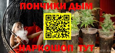 гидропоника Камышлов