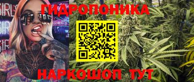 гидропоника Камышлов