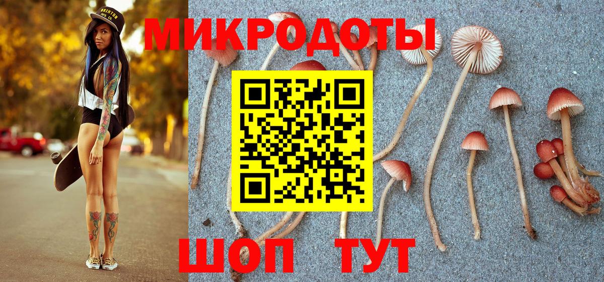 Благовещенск  Псилоцибиновые грибы MAGIC MUSHROOMS  Вход с VPN 